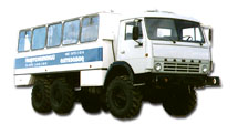 Автобусы НефАЗ-4208 и НефАЗ-42111 Автобусы НефАЗ-4208 и НефАЗ-42111