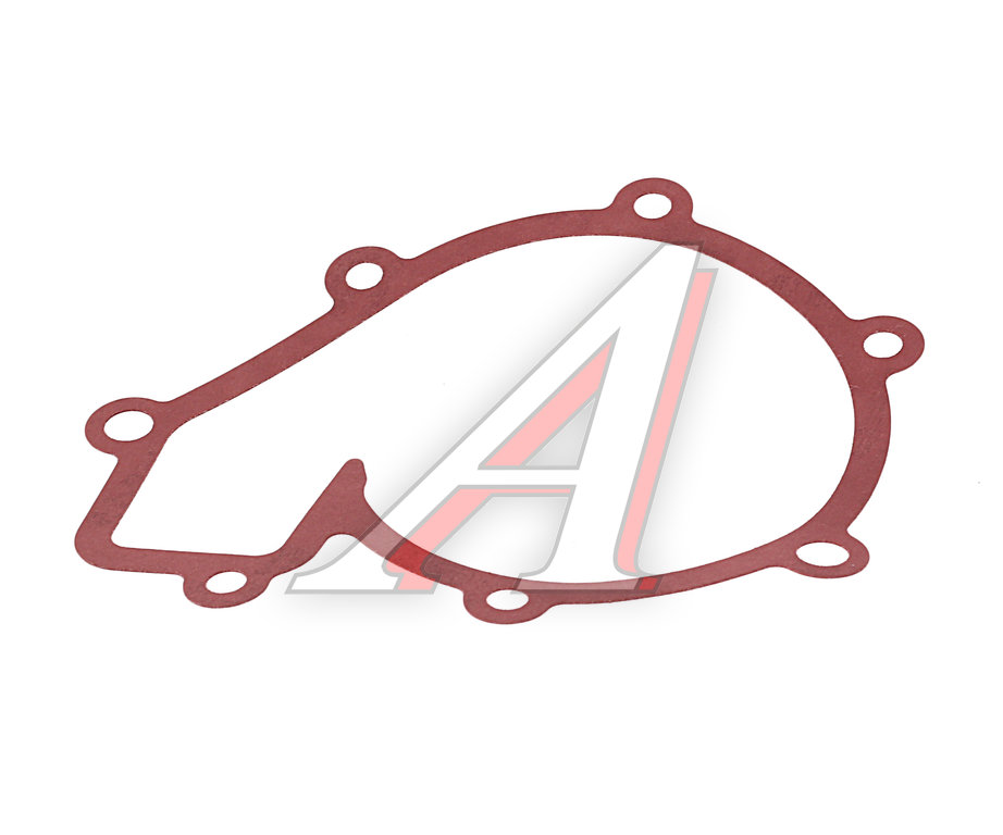 Прокладка SSANGYONG Actyon (06-), Actyon Sport (06-), Kyron (05-), Rexton (03-) насоса водяного OE