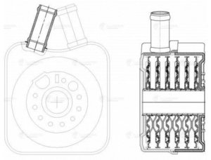 Изображение 3, LOC1802 Радиатор масляный VW Golf 4 SKODA Octavia LUZAR