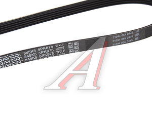Изображение 3, 5PK875 Ремень приводной поликлиновой 5PK875 FORD Mondeo (GBP) (95-96) DAYCO