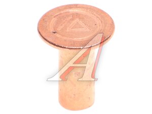 Изображение 2, N900-3501085-TCTG Заклепка JAC N75, N80 (7х16) тормозной колодки OE