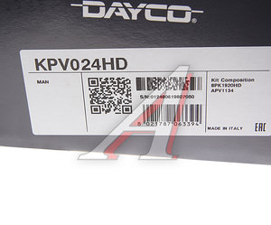 Изображение 5, KPV024HD Ремень приводной поликлиновой 8PK1920 MAN комплект с натяжителем DAYCO