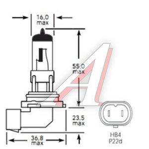 Изображение 2, 143285 Лампа 12V HB4 51W P22d 1100лм Стандарт TESLAFT (Россия)