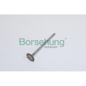 Изображение 2, B19022 Клапан впускной SKODA Octavia, Yeti (10-) (1.2TSI) двигателя BORSEHUNG