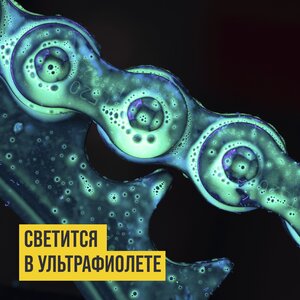 Изображение 6, 8406 Смазка для цепи мотоциклов МС-1800 аэрозоль 400мл ВМП-АВТО
