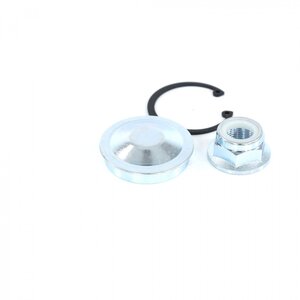 Изображение 5, RG7703034250KIT Гайка ЛАДА Vesta RENAULT Logan (04-) ступицы задней RIGINAL