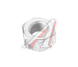 Изображение 1, 250513-П29 Гайка М10х1.0х8 ЗИЛ-130, 4331 крепления коллектора впускного под ключ 17мм ЭТНА