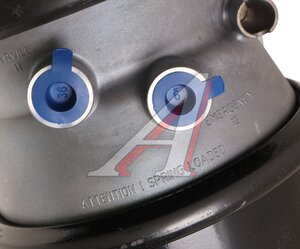 Изображение 3, 3462430002 Энергоаккумулятор DAF SCANIA тип 24/30 HALDEX