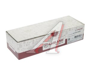 Изображение 5, A010445120044 Форсунка MAN топливная CARLAND