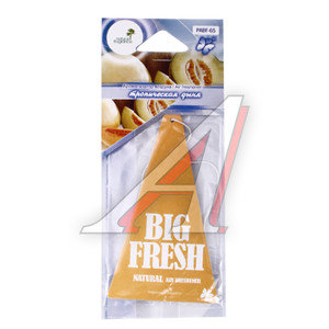 Изображение 1, PABF-65 Ароматизатор подвесной пластина (дыня тропическая) Big Fresh FKVJP