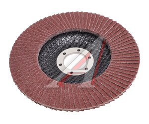 Изображение 2, ER-12522100 Круг лепестковый торцевой 125х22.2мм Р100 ЭВРИКА