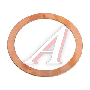 Изображение 1, 1.16396 Шайба SCANIA P, R series упорная DT