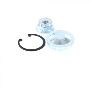 Изображение 3, RG7703034250KIT Гайка ЛАДА Vesta RENAULT Logan (04-) ступицы задней RIGINAL