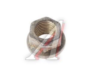 Изображение 1, 85-1601109 Гайка МТЗ БЗТДИА