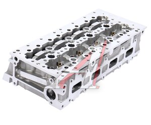 Изображение 2, BSG25110008 Головка цилиндра FIAT Daily BSG