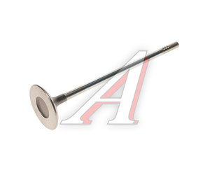 Изображение 1, 55557862 Клапан впускной CHEVROLET Aveo (08-), Cruze (09-) двигателя OE
