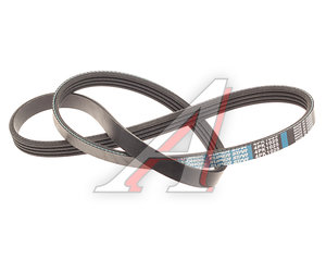 Изображение 1, 4PK1025 Ремень приводной поликлиновой 4PK1025 DONGIL