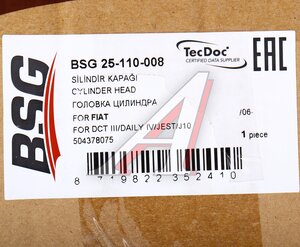 Изображение 5, BSG25110008 Головка цилиндра FIAT Daily BSG