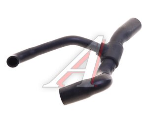 Изображение 1, 10-35526-SX Патрубок FORD Focus (-04) радиатора нижний STELLOX