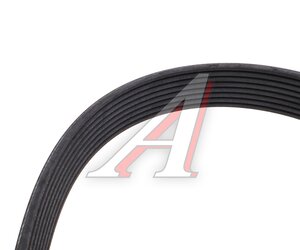 Изображение 3, 612600090600-MX Ремень приводной поликлиновой 8PK795 SHACMAN SHAANXI вентилятора,  генератора MOVELEX