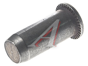 Изображение 1, 6L0809864A Гайка VW AUDI SEAT SKODA OE