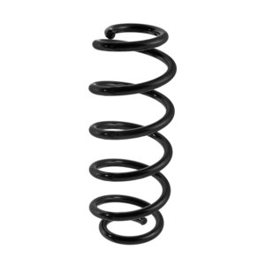 Изображение 1, RA1097 Пружина VW Passat (00-05) подвески передней KYB