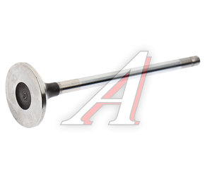 Изображение 2, 1003015FE300 Клапан выпускной JAC N56 SOLLERS Atlant OE