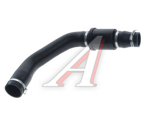 Изображение 3, 3336061 Патрубок FORD Transit (06-) интеркулера SASIC