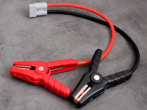 Изображение 5, V8 Устройство пусковое 12-15.5/24V 3000A 56000мА/ч (power bank) RGD