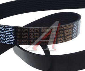 Изображение 3, 8PK1509HD Ремень приводной поликлиновой 8PK1509 DAYCO