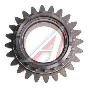 Изображение 3, 80С-1701048 Шестерня КПП МТЗ вала первичного z=24 (А)