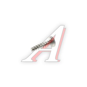 Изображение 2, 17671301 Винт самонарезающий 4.9х19мм цилиндр