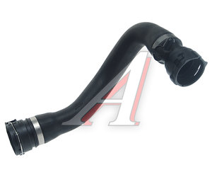 Изображение 2, P24-0025 Патрубок AUDI A6 (06-) системы охлаждения PATRON