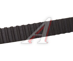 Изображение 7, 1987948721 Комплект ГРМ PEUGEOT Expert, Partner CITROEN Berlingo (1.6 HDI) BOSCH