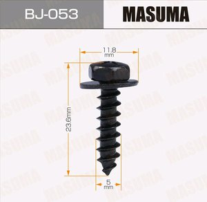 Изображение 1, BJ-053 Саморез 5х20мм набор 10шт. MASUMA