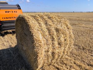 Изображение 4, ПР-145 Пресс-подборщик рулонный ПР-145 САЛЬСК