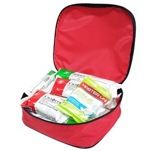 Изображение 2, 3770 Аптечка первой помощи работникам (Приказ 262Н,  сумка) ФЭСТ