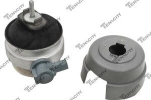 Изображение 1, AWSAU1009 Опора двигателя AUDI A3 (05-08) TENACITY