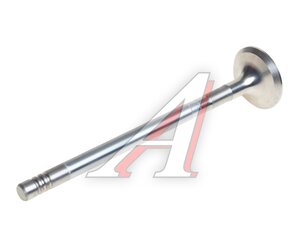 Изображение 3, 013VA31029100 Клапан выпускной FORD Focus (98-) (1.4/1.6) MAHLE