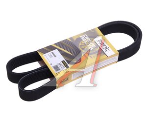 Изображение 1, Z23080 Ремень приводной поликлиновой 8PK1255 ZENTPARTS