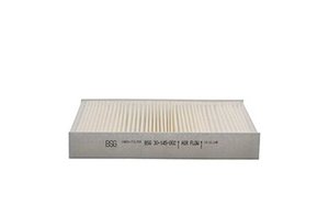 Изображение 2, BSG30145002 Фильтр воздушный салона FORD Fiesta, Fusion MAZDA (02-11) BSG