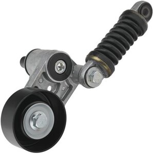 Изображение 1, Z40133R Натяжитель приводного ремня PEUGEOT 206 (00-) CITROEN Xsara Picasso (99-) ZIKMAR
