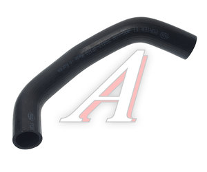 Изображение 2, DCC020550 Патрубок HYUNDAI Porter 2 (04-) радиатора нижний MANDO