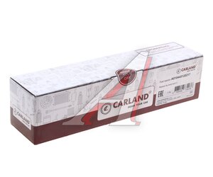 Изображение 3, A010445120217 Форсунка MAN TGA, TGS, TGX дв.D2066, D2676 топливная CARLAND