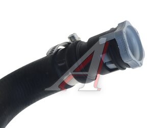 Изображение 4, BSG30720505 Шланг FORD Focus радиатора масляного BSG