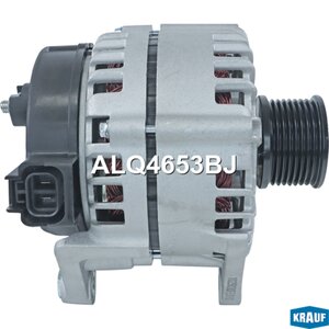 Изображение 7, ALQ4653BJ Генератор JAC N56 KRAUF