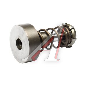 Изображение 2, F01M101355 Пара плунжерная ТНВД BOSCH