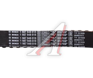 Изображение 4, 1987946704 Комплект ГРМ RENAULT Kangoo (01-09) BOSCH