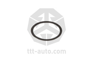 Изображение 9, 18020 Ремкомплект суппорта HALDEX MODUL T (направляющие) TTT