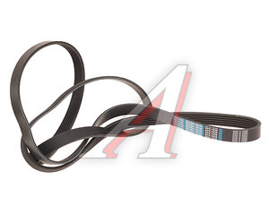 Изображение 1, 6PK1938 Ремень приводной поликлиновой 6PK1938 DONGIL